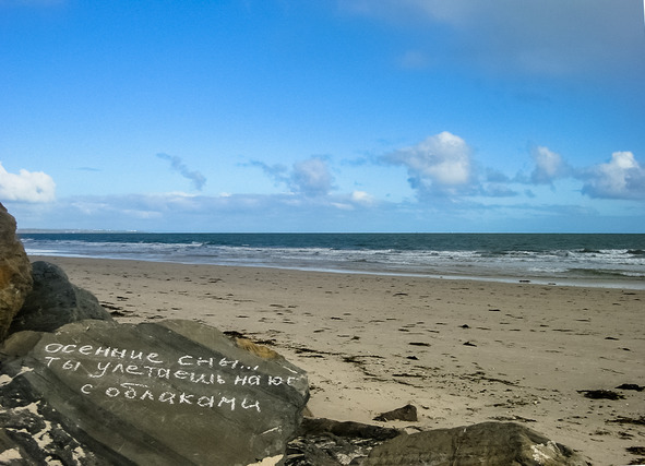 Скрипичный снег - image5_578dab0273dc460700e06bdc_jpg.jpeg