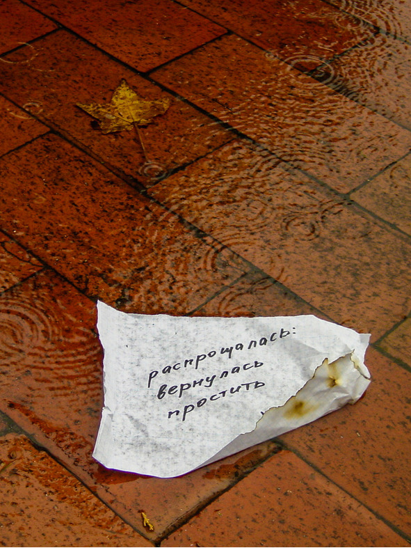 Скрипичный снег - image6_578dab1e73dc460700e06bf3_jpg.jpeg