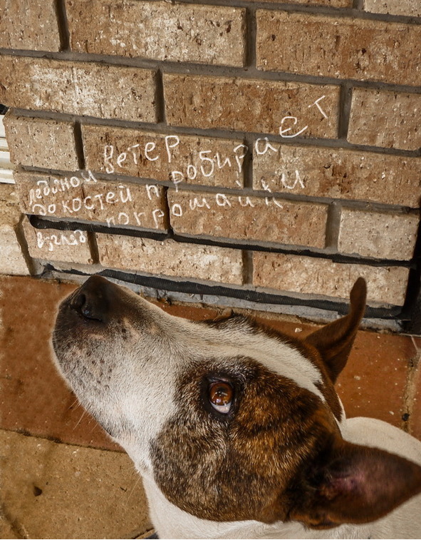 Скрипичный снег - image12_578dac2d73dc460700e06c82_jpg.jpeg