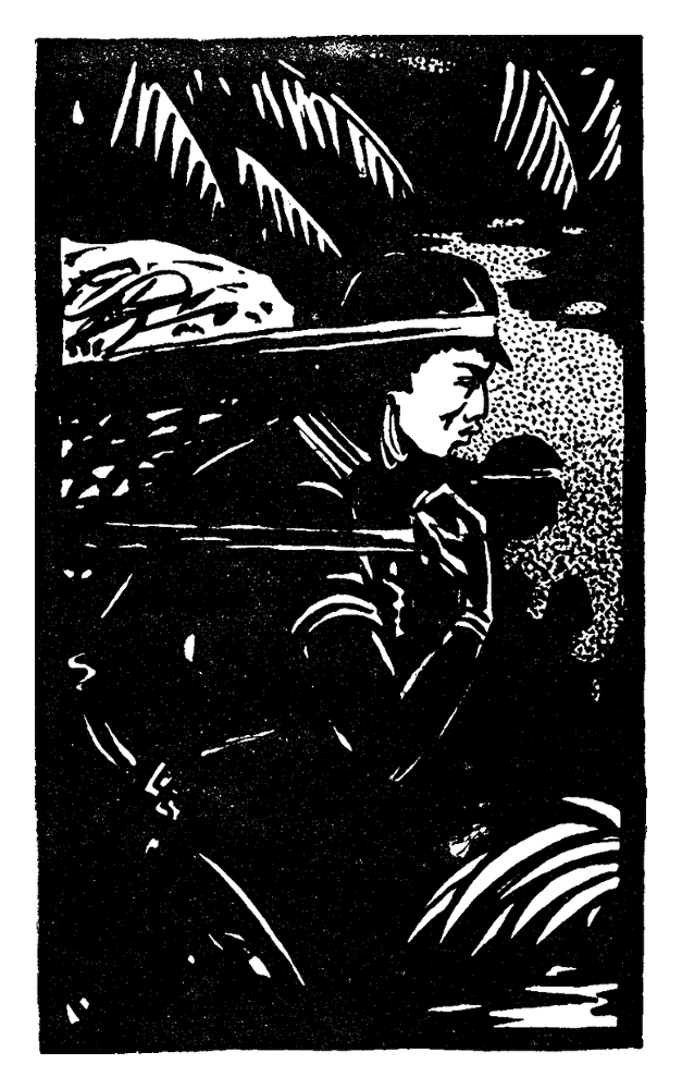 В стране ваи-ваи - i_001.png