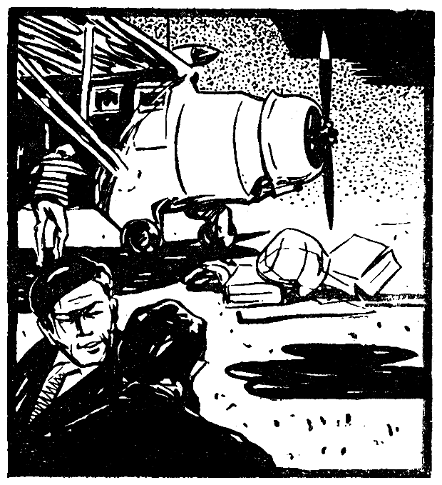 В стране ваи-ваи - i_003.png