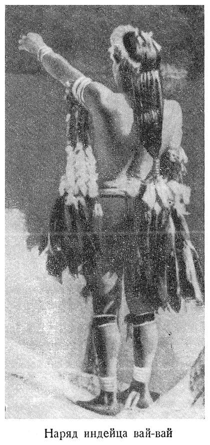 В стране ваи-ваи - i_006.jpg