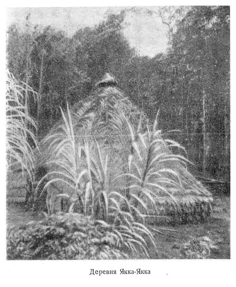 В стране ваи-ваи - i_009.jpg