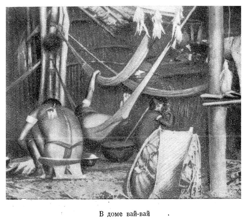 В стране ваи-ваи - i_011.jpg