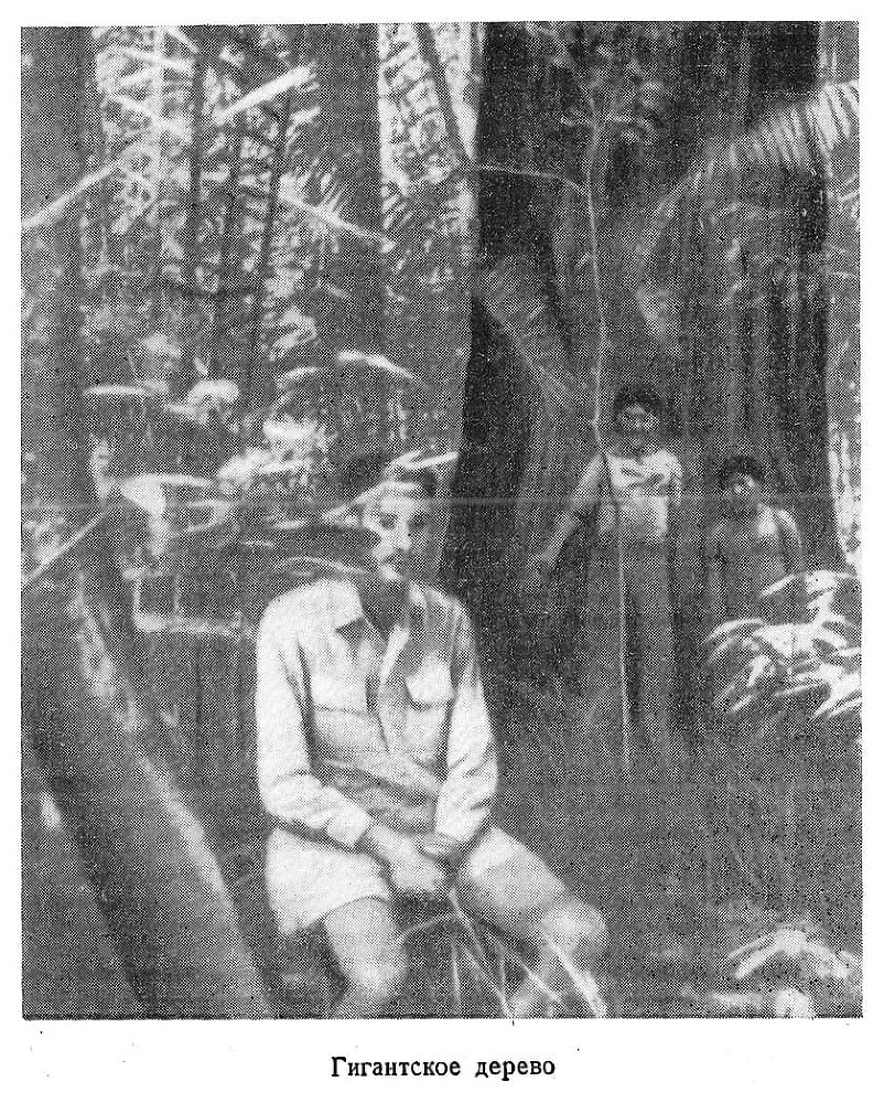 В стране ваи-ваи - i_012.jpg