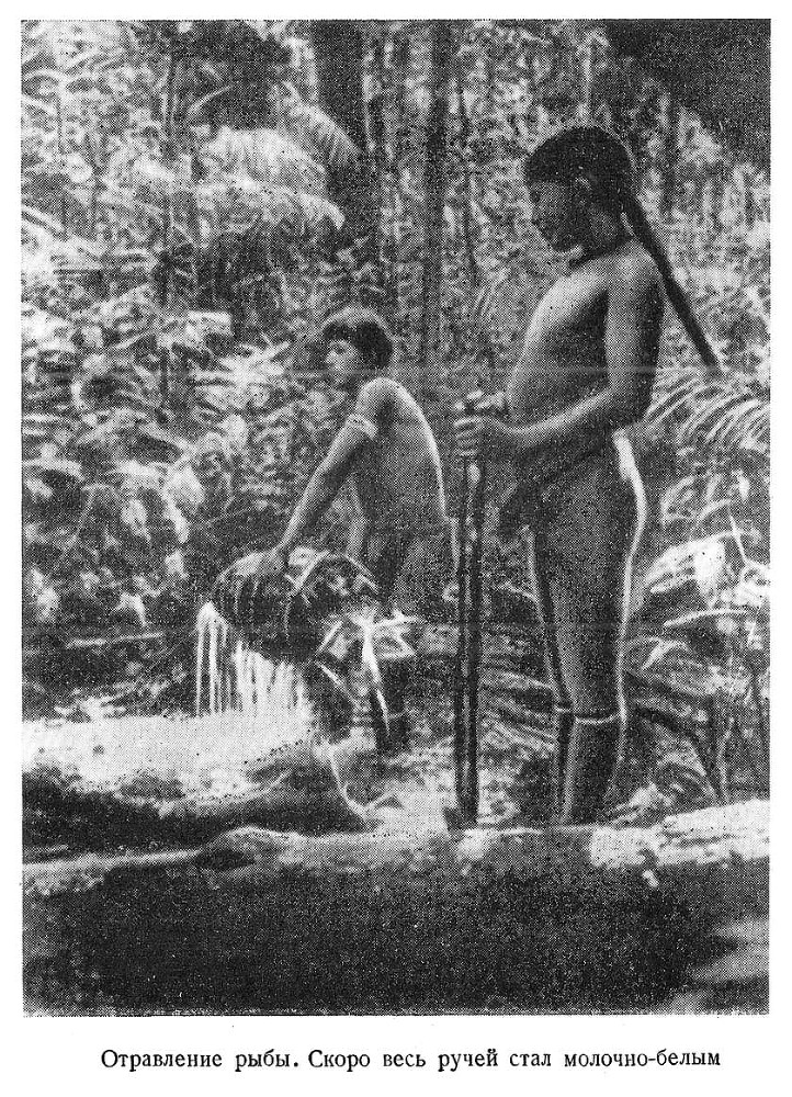 В стране ваи-ваи - i_013.jpg