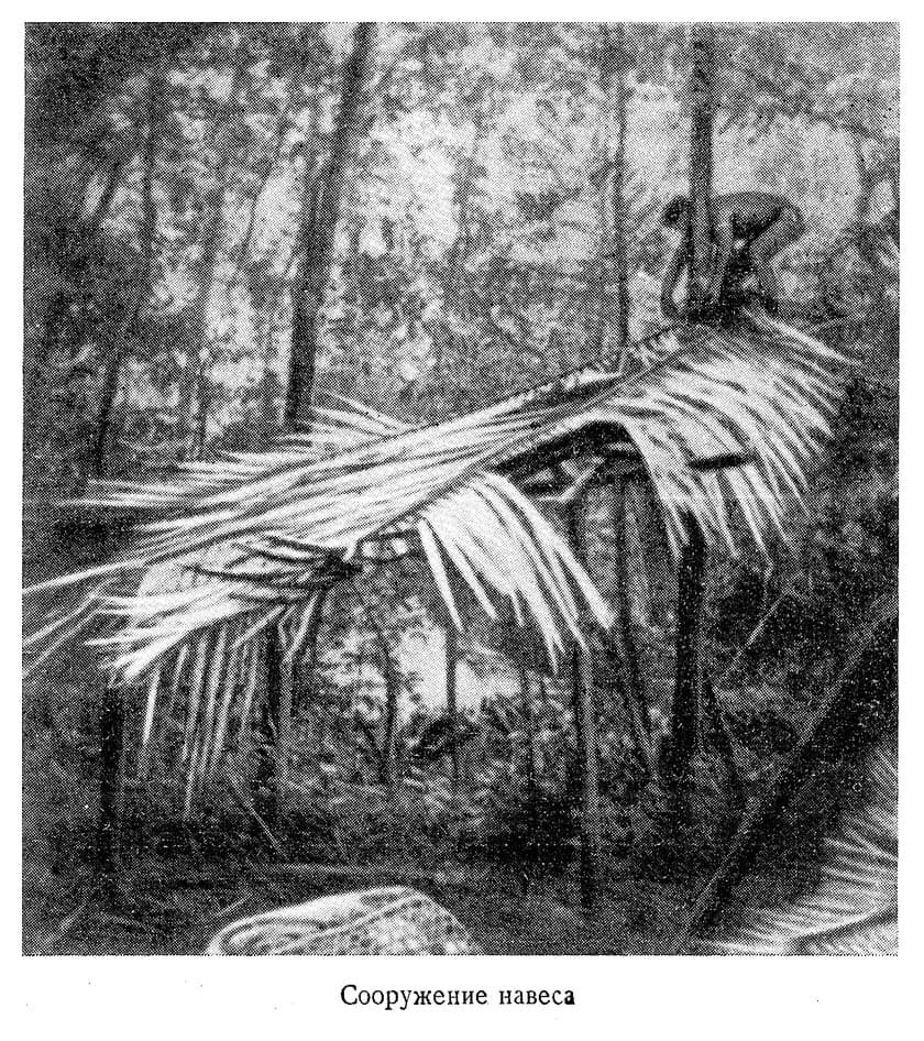 В стране ваи-ваи - i_014.jpg