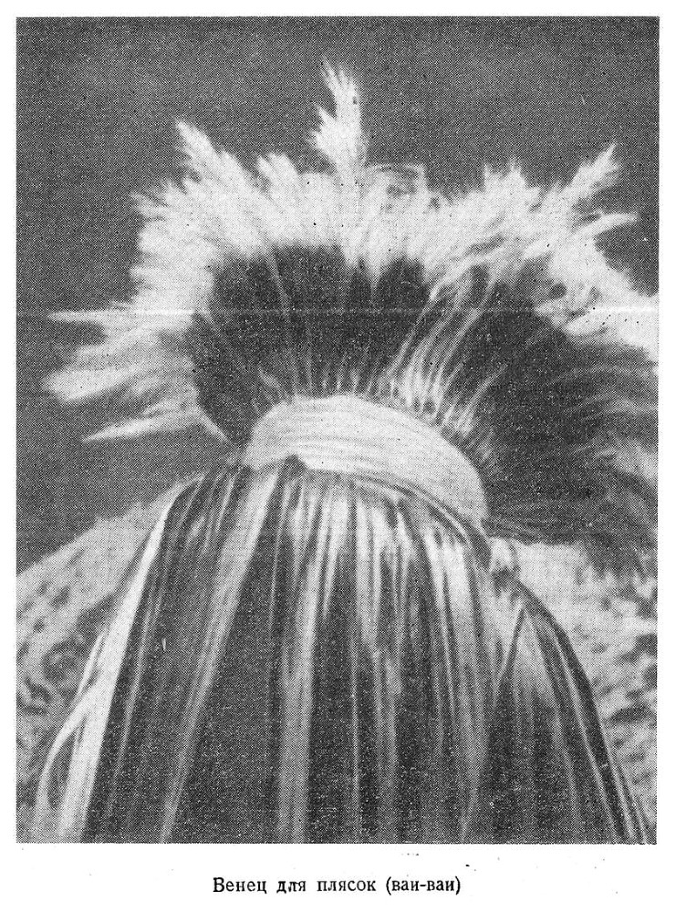 В стране ваи-ваи - i_033.jpg