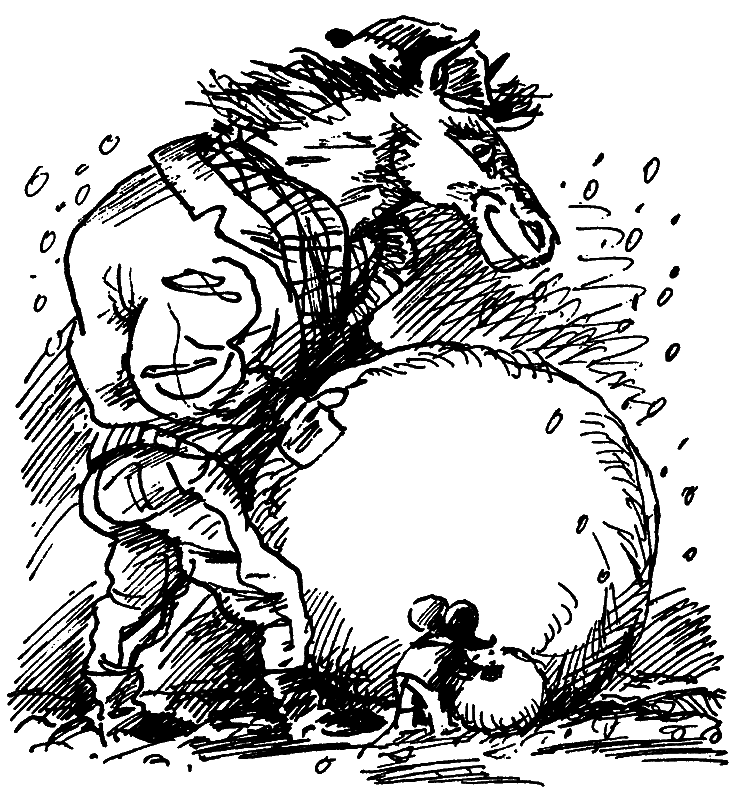 Лошадь, которая потеряла очки - _015.png