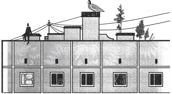 Дом чудной на улице Лесной - i_001.jpg