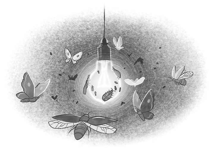 Вор воспоминаний - i_010.png