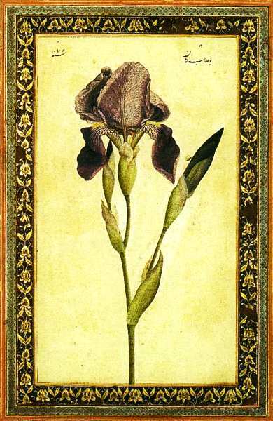 Бруклинский музей Нью-Йорк - i_020.jpg