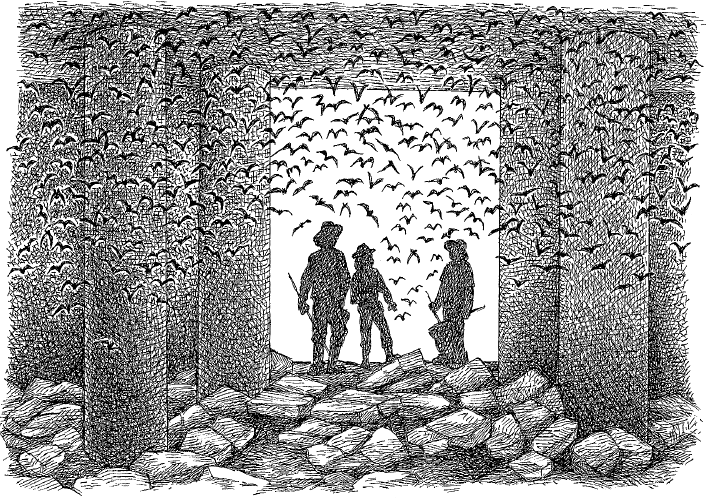 Жуткая биология для безнадежных гуманитариев. Вампировые летучие мыши, пиявки и прочие кровососущие - i_004.png