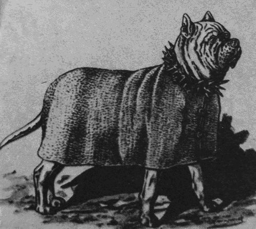 Псы-рыцари и минеры - i_003.jpg