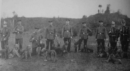 Псы-рыцари и минеры - i_005.jpg