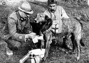 Псы-рыцари и минеры - i_006.jpg