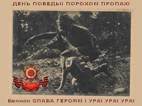 Псы-рыцари и минеры - i_010.jpg