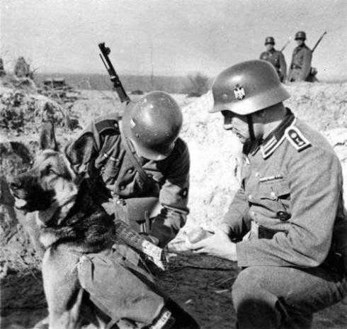 Псы-рыцари и минеры - i_011.jpg