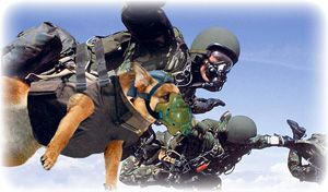 Псы-рыцари и минеры - i_014.jpg