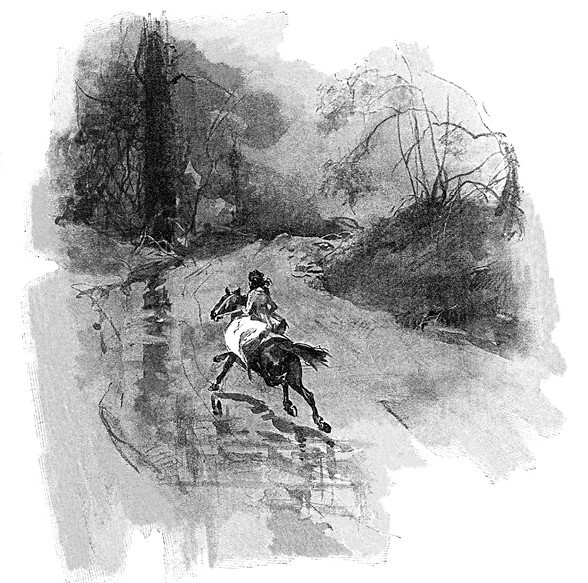 Граф Калиостро, или Жозеф Бальзамо. Том 1 - i_025.jpg