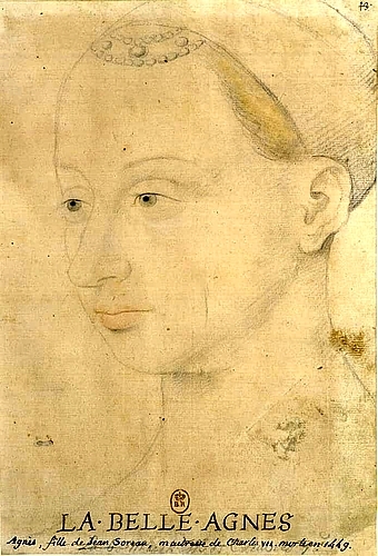 Карл VII. Жизнь и политика (ЛП) - i_022.jpg