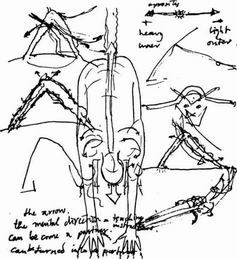 Тантра: йога с партнёром - image025.png