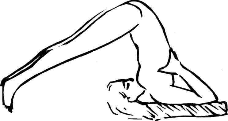 Тантра: йога с партнёром - image210.jpg