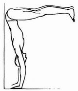 Тантра: йога с партнёром - image220.jpg