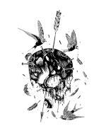 Акцентор - i_005.jpg