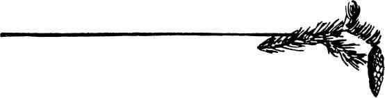 Медвежий Хребет - img_11.jpeg