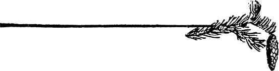 Медвежий Хребет - img_12.jpeg