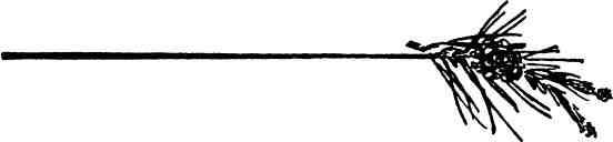 Медвежий Хребет - img_3.jpeg