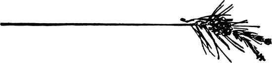 Медвежий Хребет - img_8.jpeg