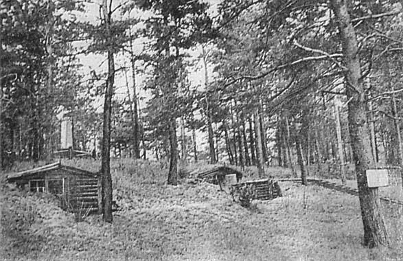 Вечный огонь - _034.jpg