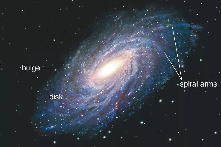 Мы – инопланетяне. Книга 9 - _0.jpg