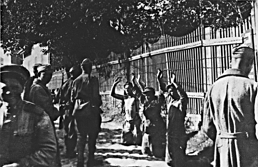 Сербские союзники Гитлера - i_026.jpg