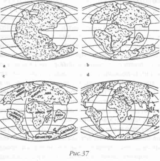 Назад в будущее. Разгадка секретного шифра Книги Бытия - i_042.jpg