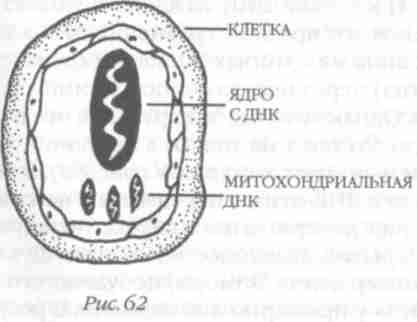 Назад в будущее. Разгадка секретного шифра Книги Бытия - i_067.jpg