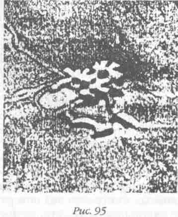 Назад в будущее. Разгадка секретного шифра Книги Бытия - i_109.jpg