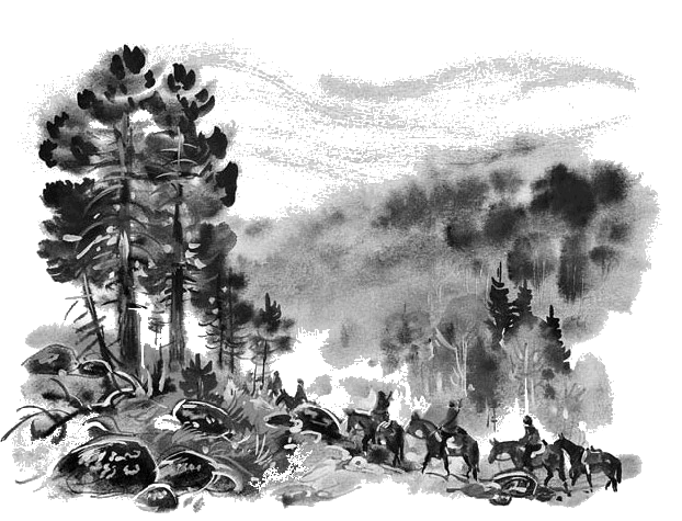 Детская библиотека. Том 80 - i_003.png