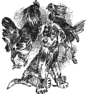 Детская библиотека. Том 8 - i_098.jpg