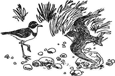 Детская библиотека. Том 8 - i_099.jpg