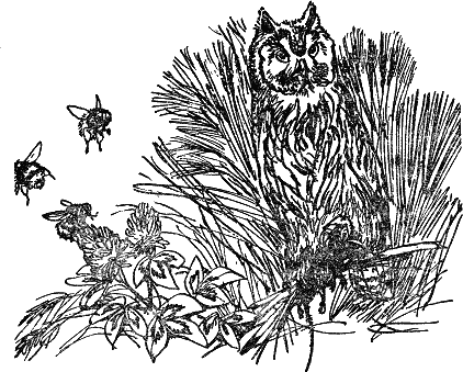 Детская библиотека. Том 8 - i_101.jpg