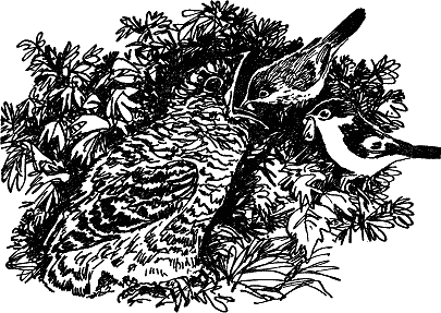 Детская библиотека. Том 8 - i_104.jpg