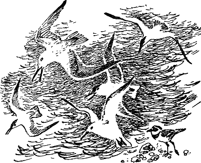 Детская библиотека. Том 8 - i_105.jpg