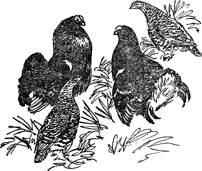 Детская библиотека. Том 8 - i_106.jpg