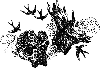 Детская библиотека. Том 8 - i_107.jpg