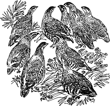 Детская библиотека. Том 8 - i_108.jpg