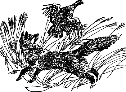 Детская библиотека. Том 8 - i_109.jpg