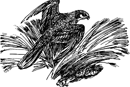 Детская библиотека. Том 8 - i_110.jpg